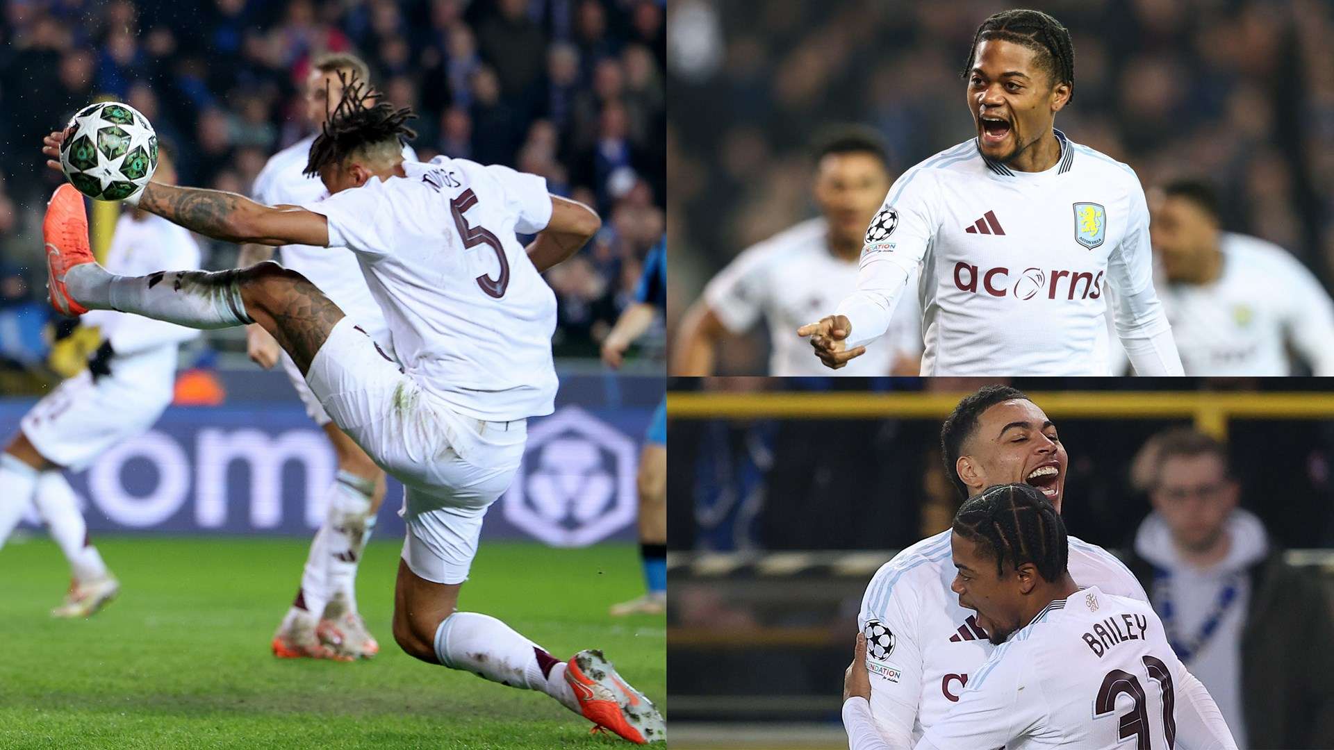 球迷的喜爱 球迷的喜爱